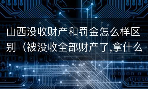 山西没收财产和罚金怎么样区别（被没收全部财产了,拿什么交罚金）