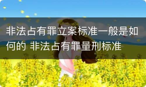 非法占有罪立案标准一般是如何的 非法占有罪量刑标准