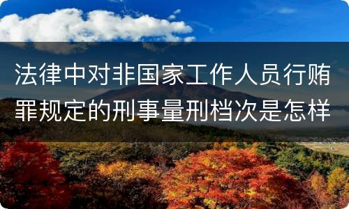 法律中对非国家工作人员行贿罪规定的刑事量刑档次是怎样的