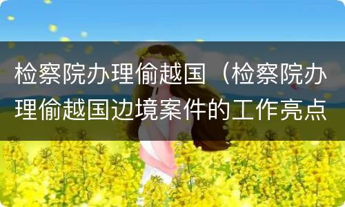 检察院办理偷越国（检察院办理偷越国边境案件的工作亮点）