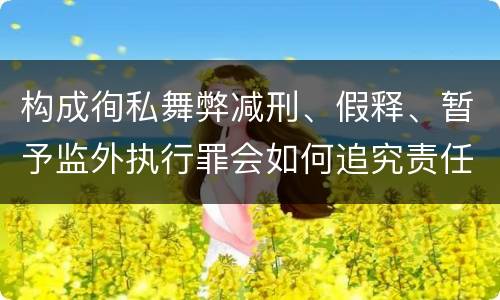 构成徇私舞弊减刑、假释、暂予监外执行罪会如何追究责任