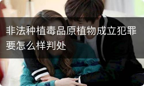 非法种植毒品原植物成立犯罪要怎么样判处