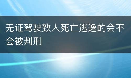 无证驾驶致人死亡逃逸的会不会被判刑