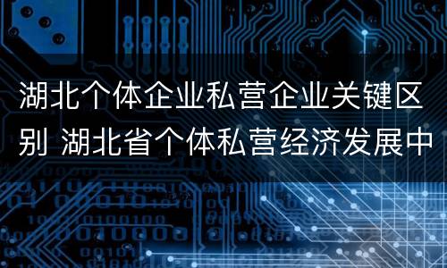 湖北个体企业私营企业关键区别 湖北省个体私营经济发展中心