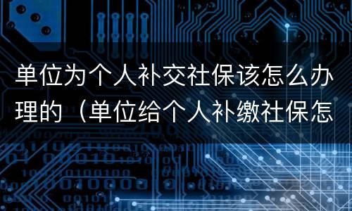 单位为个人补交社保该怎么办理的（单位给个人补缴社保怎么算要多少钱）