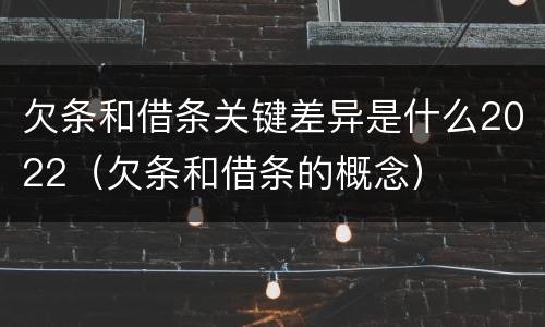 欠条和借条关键差异是什么2022（欠条和借条的概念）