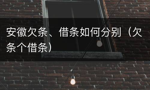 安徽欠条、借条如何分别（欠条个借条）