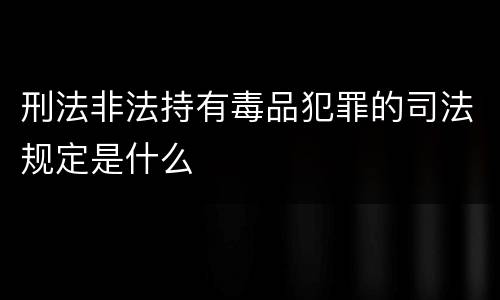 刑法非法持有毒品犯罪的司法规定是什么