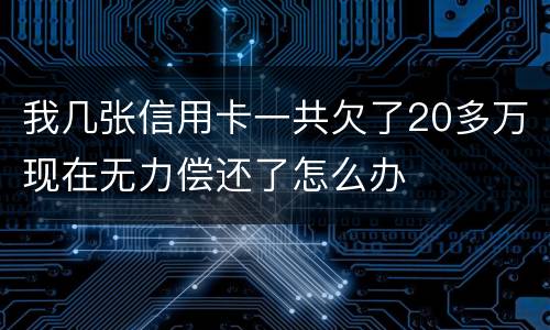 我几张信用卡一共欠了20多万现在无力偿还了怎么办