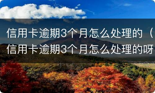 信用卡逾期3个月怎么处理的（信用卡逾期3个月怎么处理的呀）
