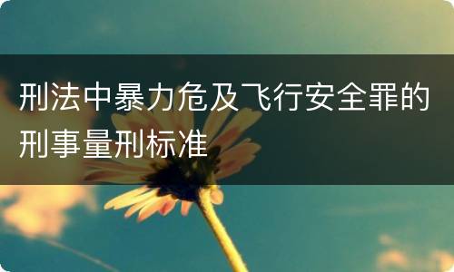 刑法中暴力危及飞行安全罪的刑事量刑标准