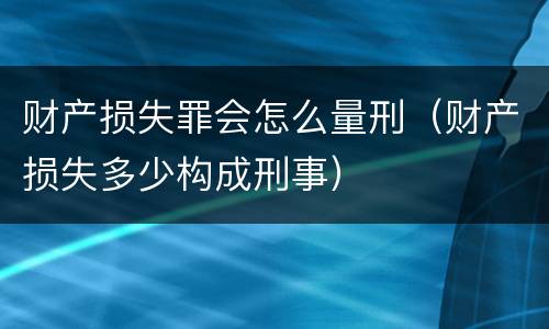 财产损失罪会怎么量刑（财产损失多少构成刑事）