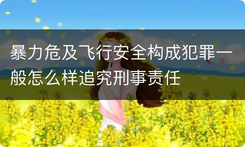 暴力危及飞行安全构成犯罪一般怎么样追究刑事责任