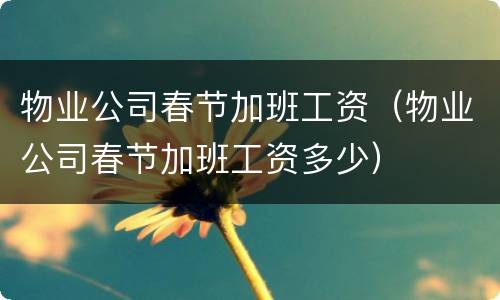 物业公司春节加班工资（物业公司春节加班工资多少）