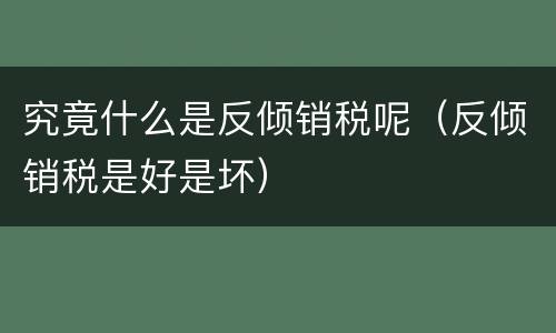 究竟什么是反倾销税呢（反倾销税是好是坏）