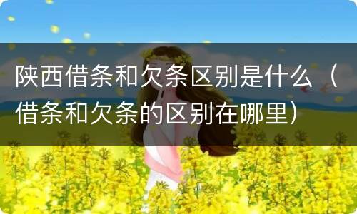 陕西借条和欠条区别是什么（借条和欠条的区别在哪里）