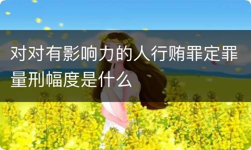 对对有影响力的人行贿罪定罪量刑幅度是什么