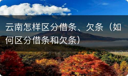 云南怎样区分借条、欠条（如何区分借条和欠条）