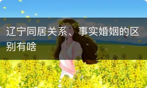辽宁同居关系、事实婚姻的区别有啥