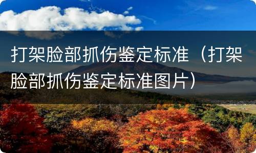 打架脸部抓伤鉴定标准（打架脸部抓伤鉴定标准图片）