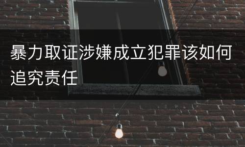 暴力取证涉嫌成立犯罪该如何追究责任