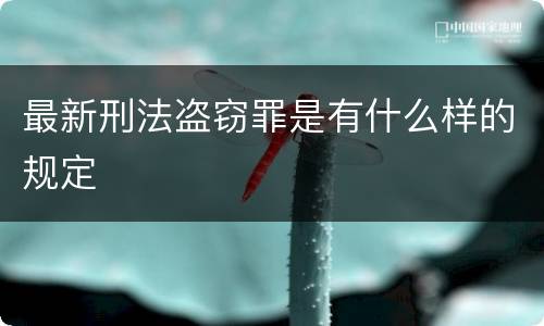 最新刑法盗窃罪是有什么样的规定