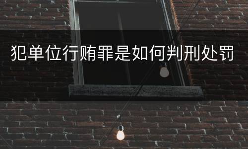 犯单位行贿罪是如何判刑处罚