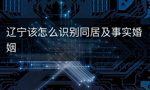 辽宁该怎么识别同居及事实婚姻