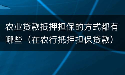 农业贷款抵押担保的方式都有哪些（在农行抵押担保贷款）
