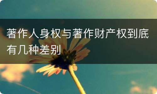 著作人身权与著作财产权到底有几种差别