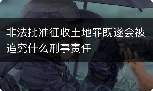 非法批准征收土地罪既遂会被追究什么刑事责任