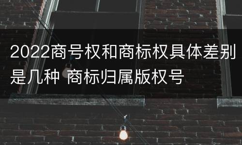 2022商号权和商标权具体差别是几种 商标归属版权号
