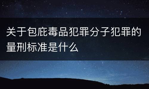 关于包庇毒品犯罪分子犯罪的量刑标准是什么