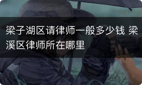 梁子湖区请律师一般多少钱 梁溪区律师所在哪里