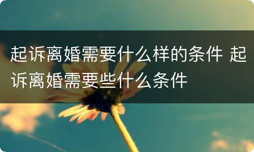 起诉离婚需要什么样的条件 起诉离婚需要些什么条件