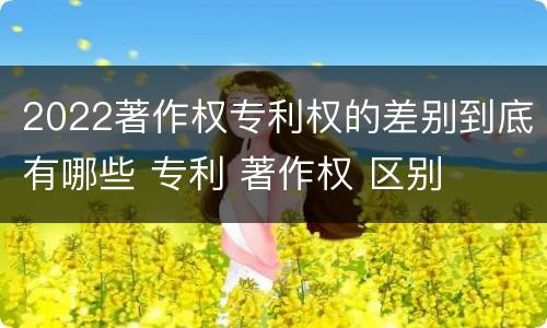 2022著作权专利权的差别到底有哪些 专利 著作权 区别