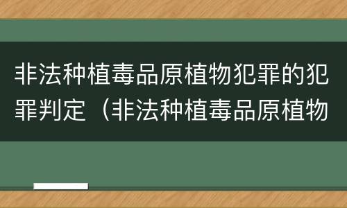 非法种植毒品原植物犯罪的犯罪判定（非法种植毒品原植物犯罪的犯罪判定依据）