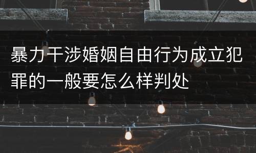 暴力干涉婚姻自由行为成立犯罪的一般要怎么样判处