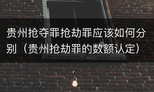 贵州抢夺罪抢劫罪应该如何分别（贵州抢劫罪的数额认定）