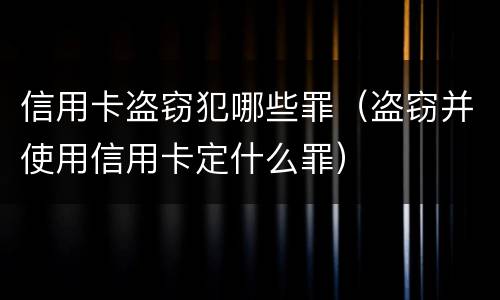 信用卡盗窃犯哪些罪（盗窃并使用信用卡定什么罪）