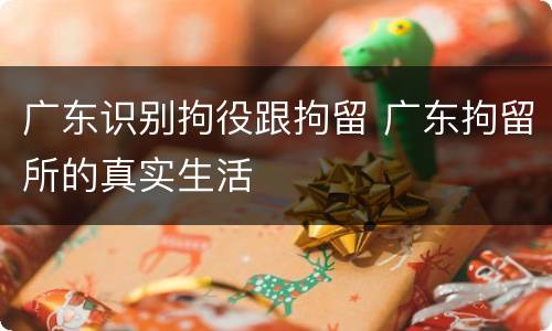 广东识别拘役跟拘留 广东拘留所的真实生活