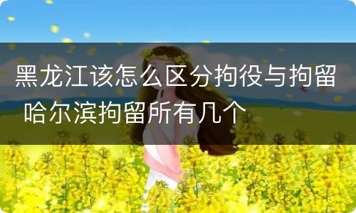 黑龙江该怎么区分拘役与拘留 哈尔滨拘留所有几个