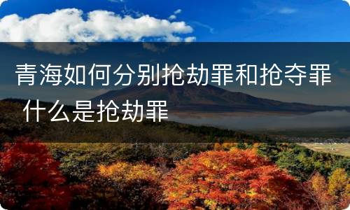 青海如何分别抢劫罪和抢夺罪 什么是抢劫罪