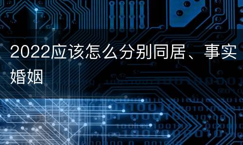 2022应该怎么分别同居、事实婚姻