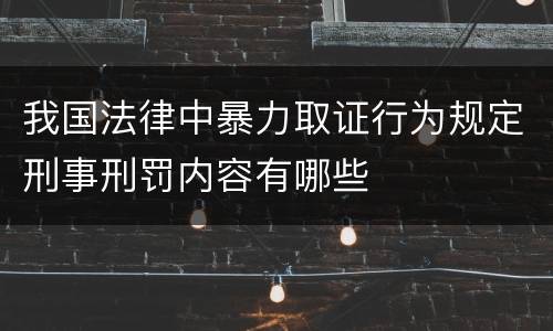 我国法律中暴力取证行为规定刑事刑罚内容有哪些