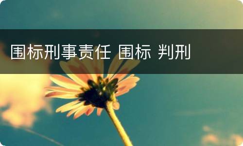 围标刑事责任 围标 判刑