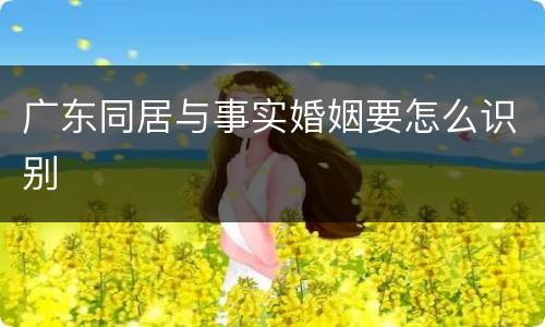 广东同居与事实婚姻要怎么识别