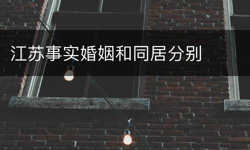 江苏事实婚姻和同居分别