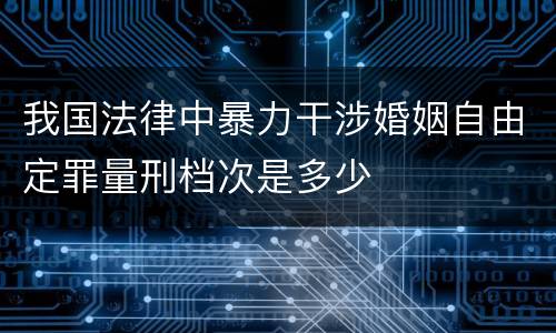 我国法律中暴力干涉婚姻自由定罪量刑档次是多少