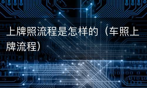 上牌照流程是怎样的（车照上牌流程）